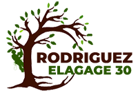 elagage-rodriguez-elagage-30